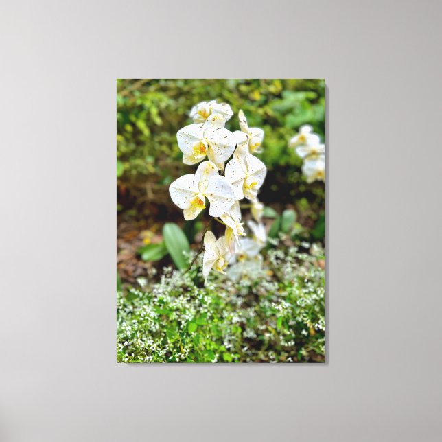 Toile Beauté d'Orchidée (Recto)