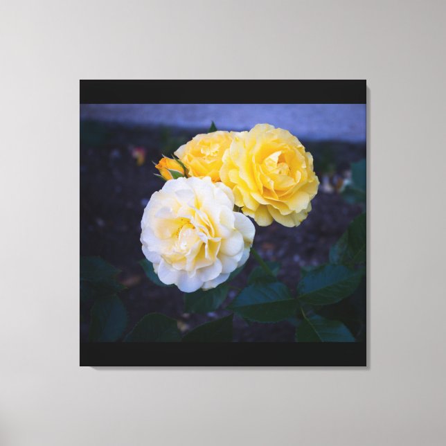 Toile Beauté du Rose (Recto)