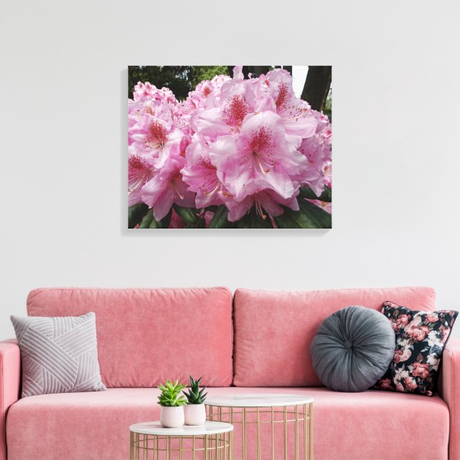 Toile Beautiful Pink Rhododendron Blooms Floral (Insitu(Salon))