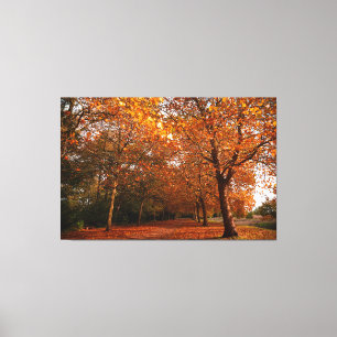Toile Beaux arbres d'automne
