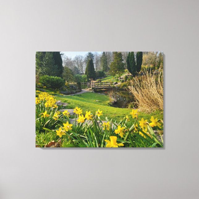 Toile Beaux jonquilles de printemps  (Recto)
