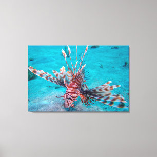 Toile Beaux poissons rouges de lion
