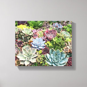Toile Beaux succulents