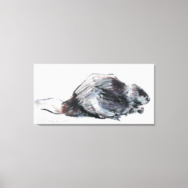 Toile Beaver européen (Recto)