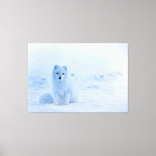 Toile Bébé Blanc Renard arctique dans la neige