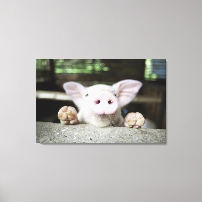 Toile Bébé Cochon en Stylo, Piglet (Recto)