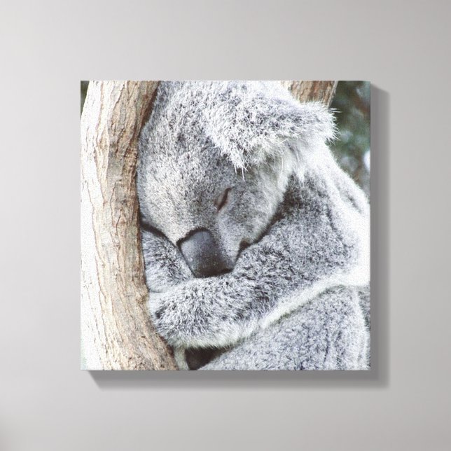 Toile bébé koala (Recto)