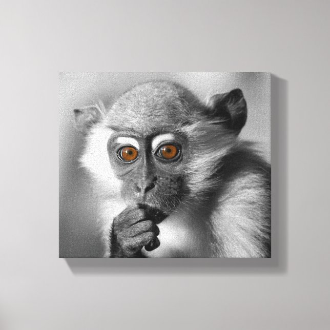 Toile Bébé Mangabey (Recto)