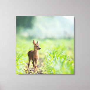 Toile Bébé mignon cerf Fawn dans l'herbe Nature Photogra