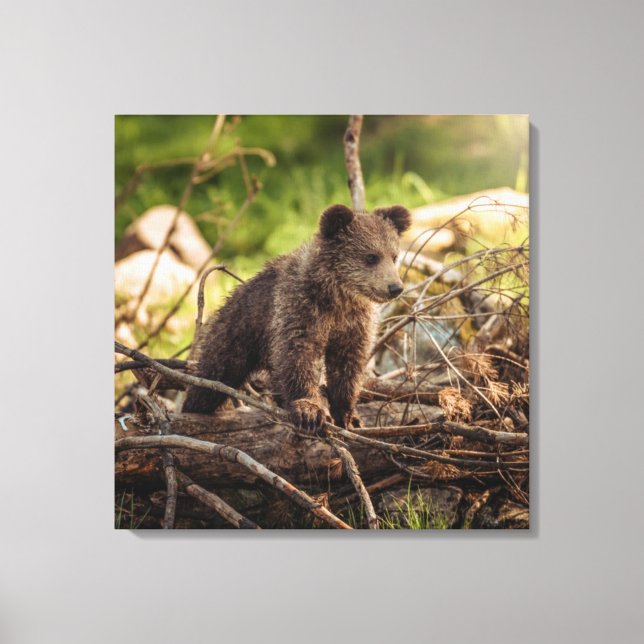 Toile Bébé mignon Ours en Bois (Recto)