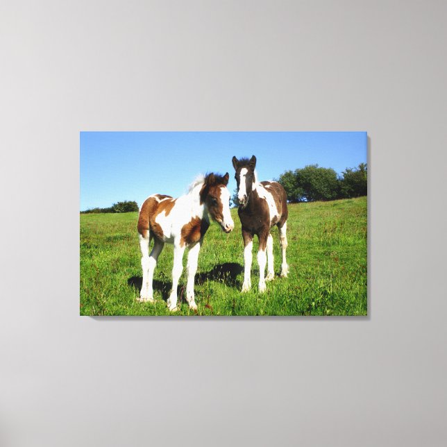 Toile Bébés Chevaux Deux Poulains Volailles Mignonnes (Recto)