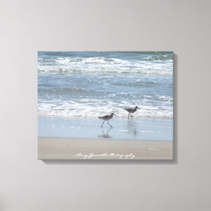 Toile : Bécasseaux sur la plage - île OR de huni