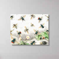 Bee Honey Travailleur Queen Bees Antique