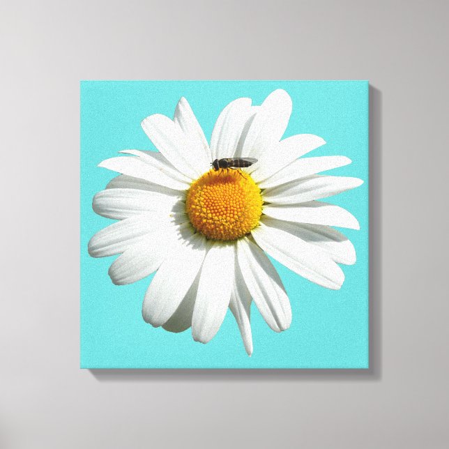 Toile Bee on Daisy Alaskan Summer Nature (Recto)