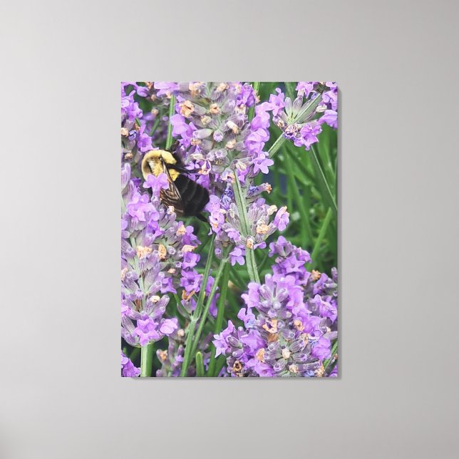Toile Bee on Lavender Flower (Recto)