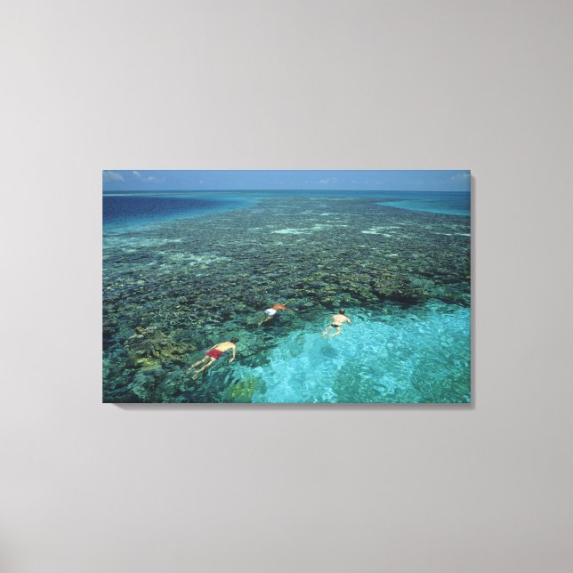 Toile Belize, récif de la barrière, récif Lighthouse, bl (Recto)