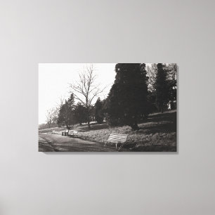 Toile Bell Vue Park, Newport, lun (déc. 1977)