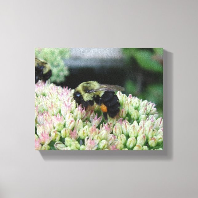 Toile Belle abeille alimentaire (Recto)