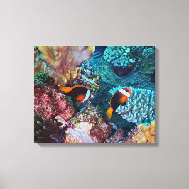 Toile Belle barrière de corail avec poissons (Recto)