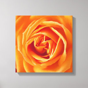 Toile Belle Fleur Rose Jaune Florale