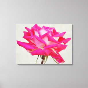 Toile Belle Fleur rose rose Artsy Canvas Imprimer