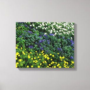 Toile Belle Fleurs Photo Canvas simple