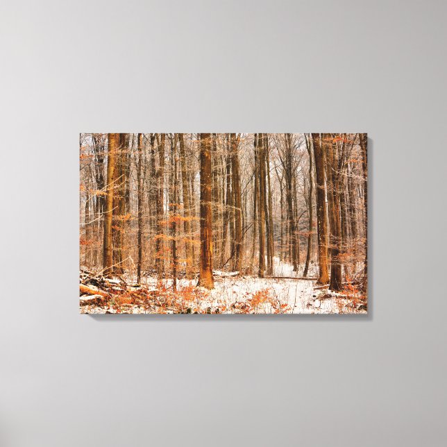 Toile Belle forêt d'hiver avec neige (Recto)