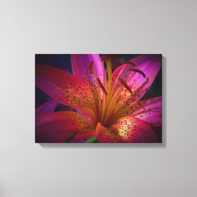 Toile Belle Lily rose (Recto)