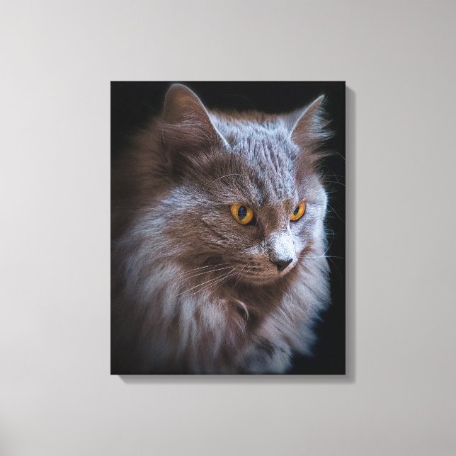 Toile Belle Nebelung Chat Long Cheveux Russe Bleu Gris (Recto)