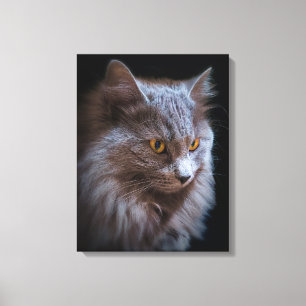 Toile Belle Nebelung Chat Long Cheveux Russe Bleu Gris