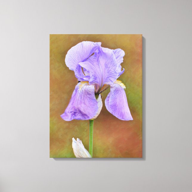 Toile Belle œuvre d'art de la fleur d'iris pourpre (Recto)