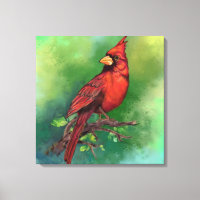 Belle peinture d'oiseaux du Cardinal rouge du Nord