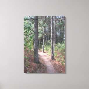 Toile Belle piste en bois Photographie Mur Art