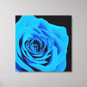 Toile Belle rose bleue