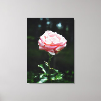 Toile Belle rose rose rose