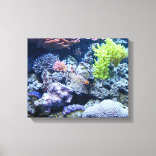 Toile belle scène sous-marine, mer colorée