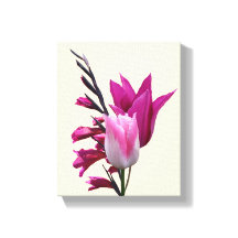 Belle tulipe rose chaud art moderne floral