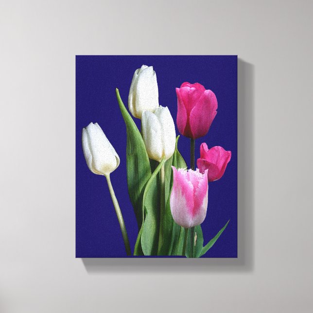 Toile Belle tulipes blanches roses et élégantes bleu flo (Recto)