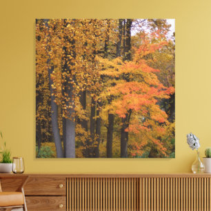 Toile Belles feuilles d'automne Tulipier arbres