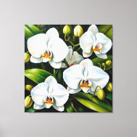 belles orchidées blanches