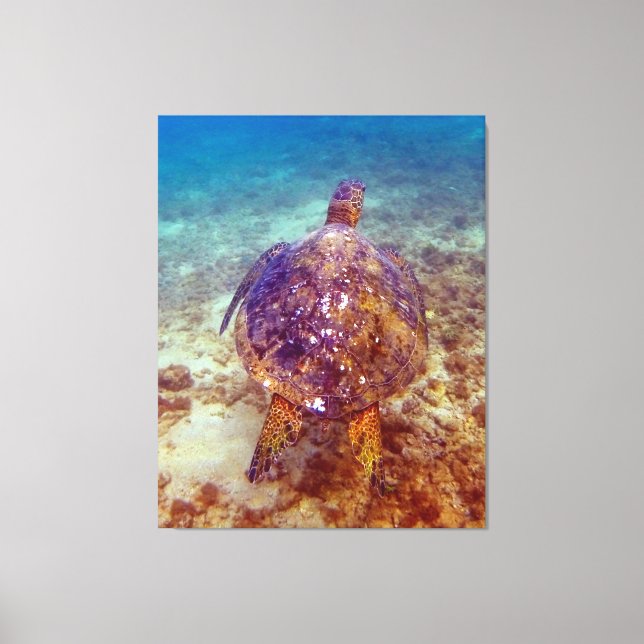 Toile Belles tortues de mer (Recto)