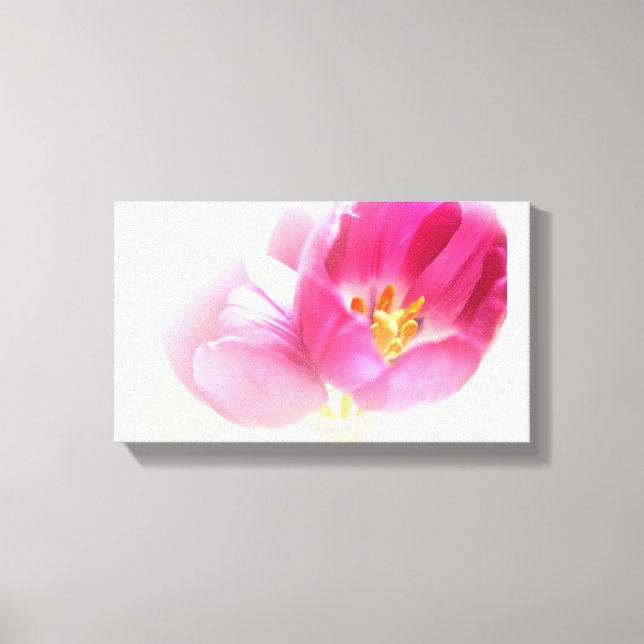 TOILE BELLES TULIPES ROSES (Recto)