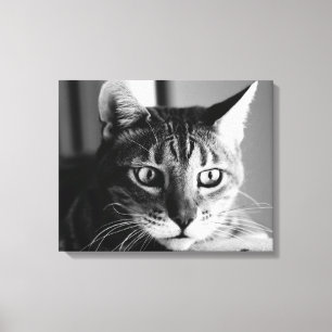 Toile Bengal Cat