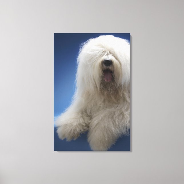 Toile Berger (Recto)