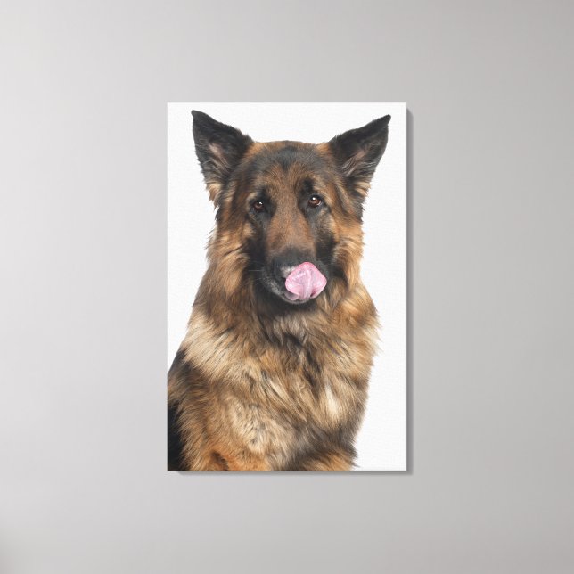 Toile Berger allemand (Recto)
