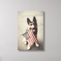 Berger Allemand Avec Drapeau US