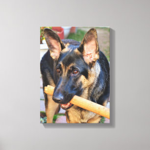 Toile berger allemand par Shirley Taylor