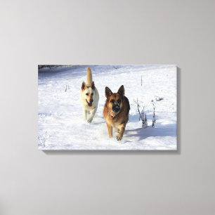 Toile Bergers allemands courant dans la neige