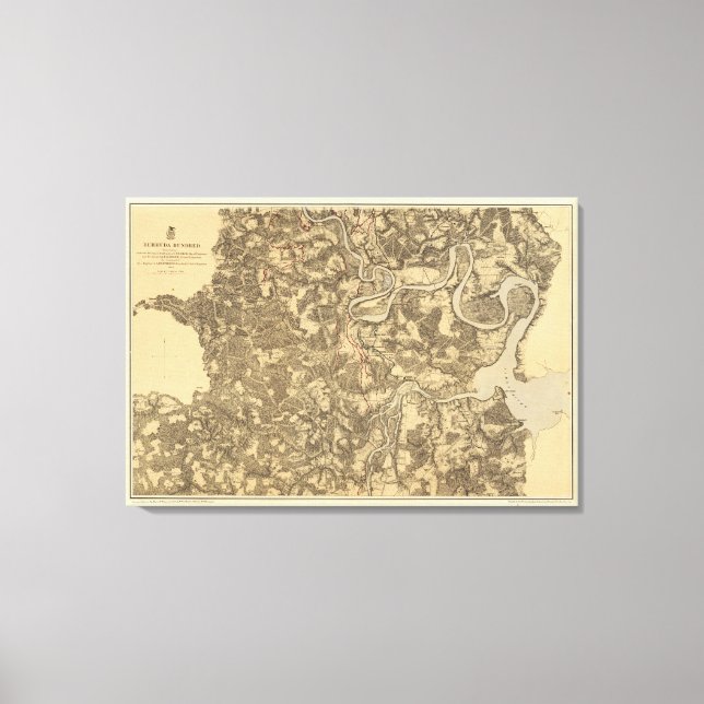 Toile Bermudes Cent, Virginie (Recto)