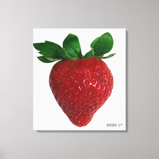 Toile Berry Canvas Art (Recto)
